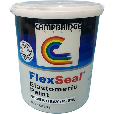 Although there's some disagreement as to how new elastomeric paint is, the pros pretty much agree that for exterior stucco work it's a first- . . Elastomeric paint on plywood